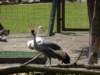gryswitokrzyskievi201346_small.jpg