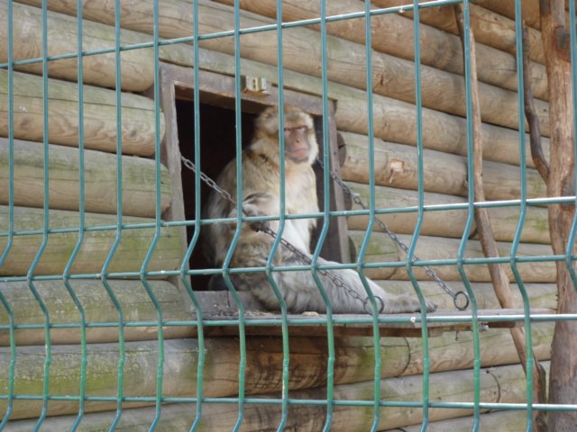 gryswitokrzyskievi201356.jpg