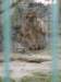 gryswitokrzyskievi201357_small.jpg