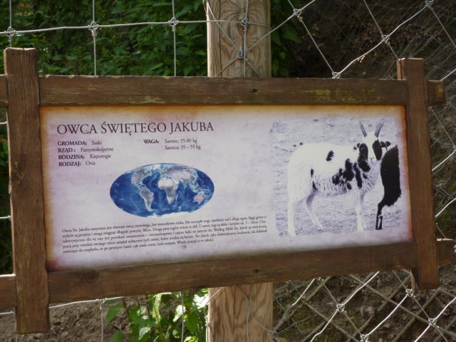 gryswitokrzyskievi201358.jpg