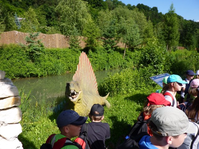 gryswitokrzyskievi201364.jpg