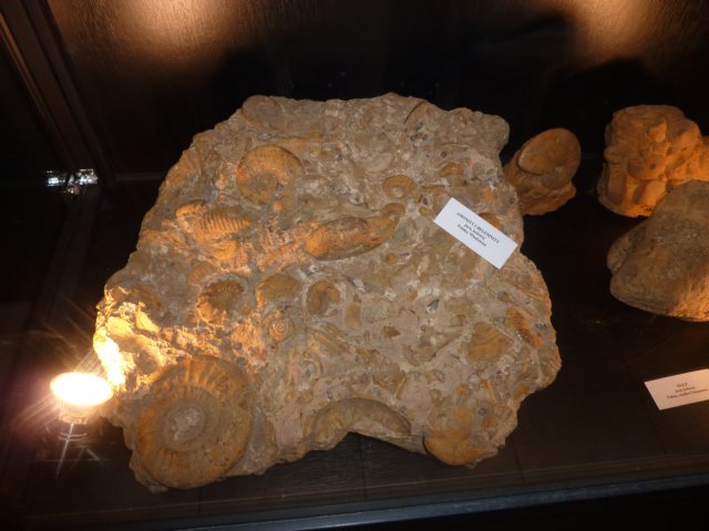 gryswitokrzyskievi201373.jpg