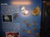 gryswitokrzyskievi201374_small.jpg