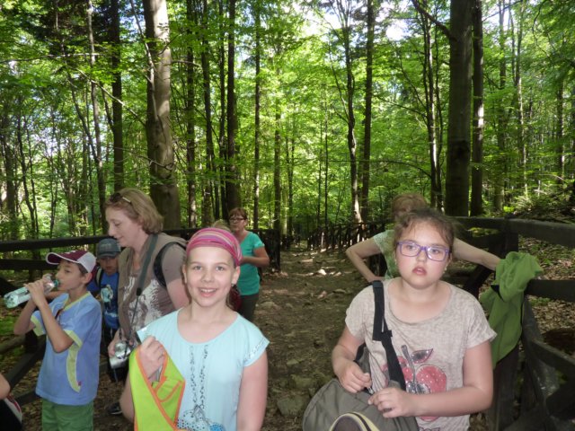 gryswitokrzyskievi201384.jpg