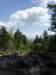 gryswitokrzyskievi201392_small.jpg