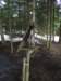 zakopanekl4b4c4d267_small.jpg