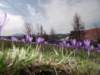 zakopanekl4b4c4d286_small.jpg