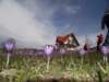 zakopanekl4b4c4d294_small.jpg
