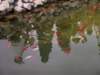 zakopanekl4b4c4d617_small.jpg