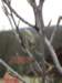 zakopanekl4b4c4d644_small.jpg