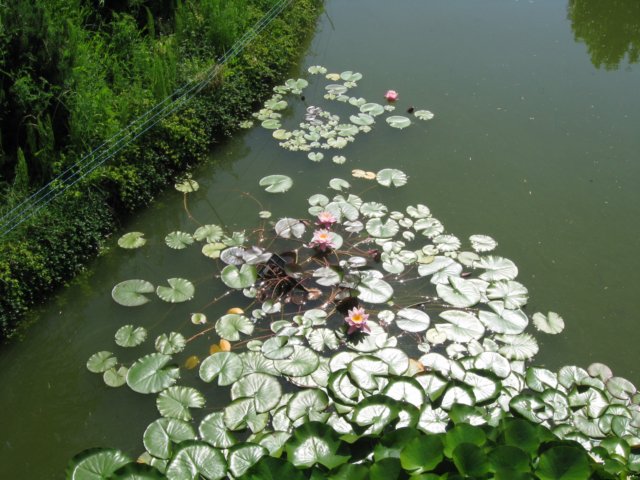 wycieczka1cdozoovi201310.jpg