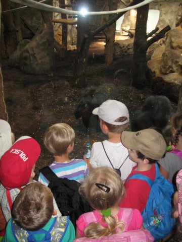 wycieczka1cdozoovi201311.jpg