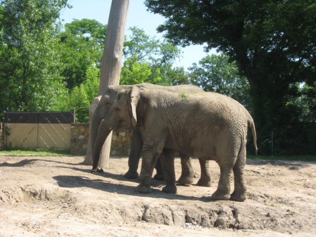 wycieczka1cdozoovi20138.jpg