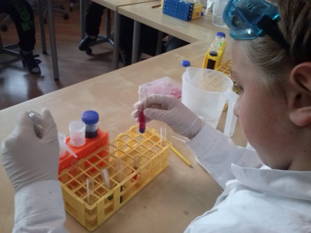 juniorodkrywcax2013r13.jpg