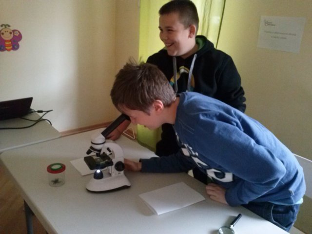 juniorodkrywcax2013r2.jpg