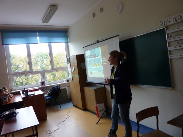 tropicielwitamin2013r5.jpg