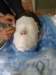 maskiteatralne048_small.jpg