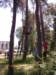 dzietarzana201416_small.jpg