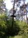 dzietarzana201453_small.jpg