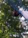 dzietarzana201457_small.jpg