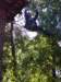 dzietarzana201459_small.jpg