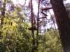 dzietarzana201465_small.jpg
