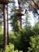 dzietarzana201470_small.jpg