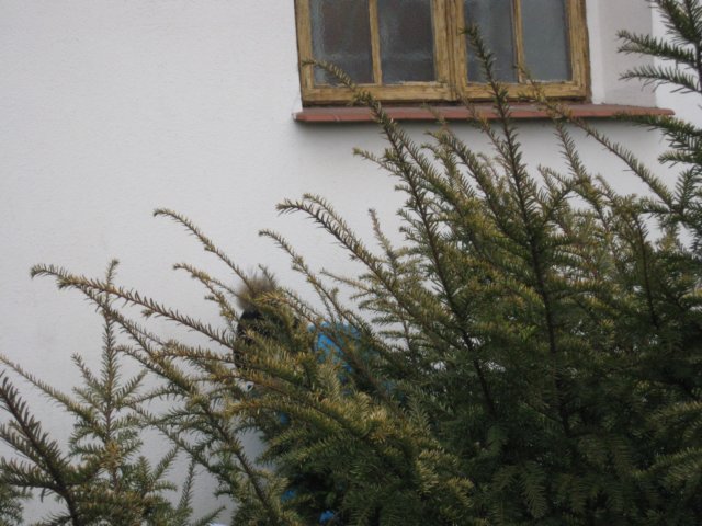 zimawmiecie2014dzie1014.jpg