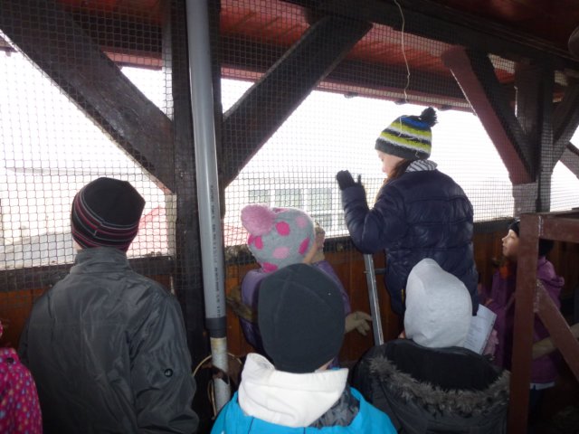 zimawmiecie2014dzie1024.jpg