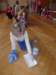 zimawmiecie2014dzie373_small.jpg