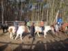 zimawmiecie2014dzie5103_small.jpg