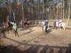 zimawmiecie2014dzie5104_small.jpg
