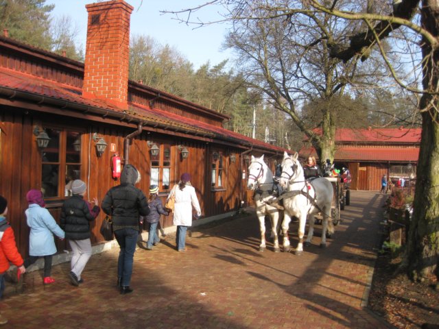 zimawmiecie2014dzie514.jpg