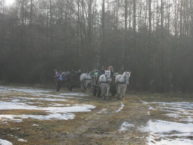 zimawmiecie2014dzie525.jpg