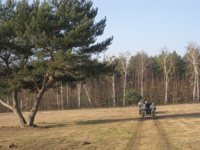 zimawmiecie2014dzie530.jpg