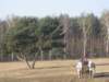 zimawmiecie2014dzie532_small.jpg
