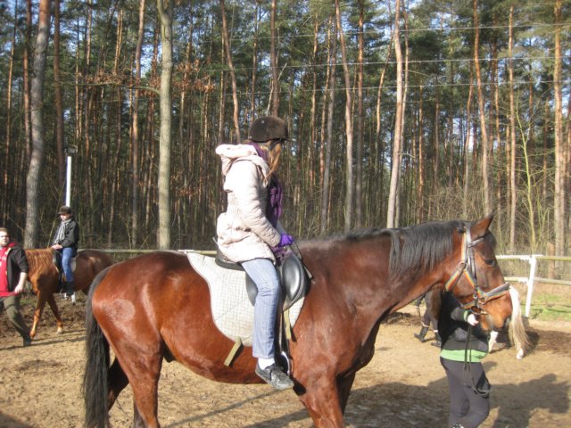 zimawmiecie2014dzie538.jpg