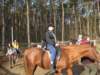 zimawmiecie2014dzie540_small.jpg