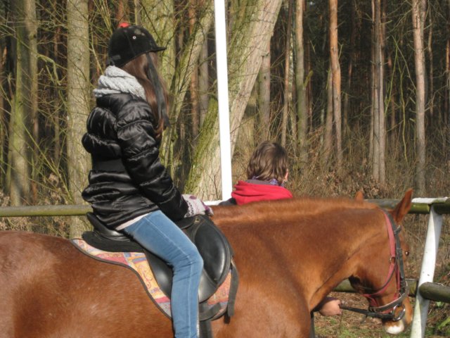 zimawmiecie2014dzie544.jpg