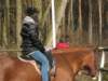 zimawmiecie2014dzie544_small.jpg