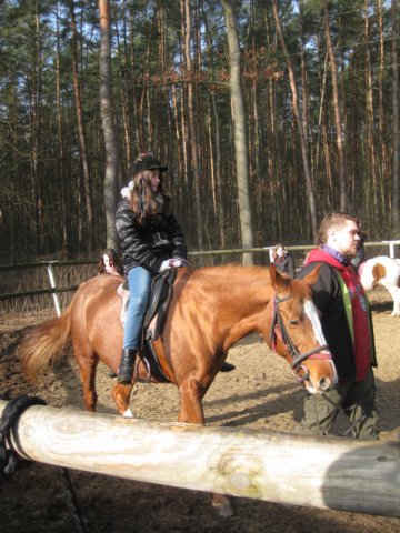 zimawmiecie2014dzie548.jpg