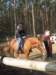 zimawmiecie2014dzie548_small.jpg