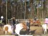 zimawmiecie2014dzie549_small.jpg