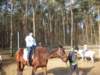 zimawmiecie2014dzie550_small.jpg
