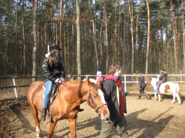 zimawmiecie2014dzie551.jpg