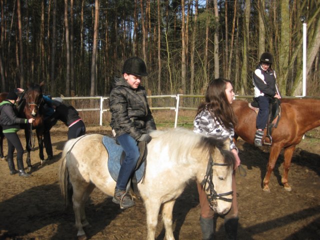 zimawmiecie2014dzie554.jpg