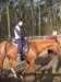 zimawmiecie2014dzie556_small.jpg
