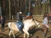 zimawmiecie2014dzie557_small.jpg