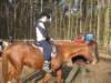 zimawmiecie2014dzie558_small.jpg