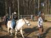 zimawmiecie2014dzie559_small.jpg